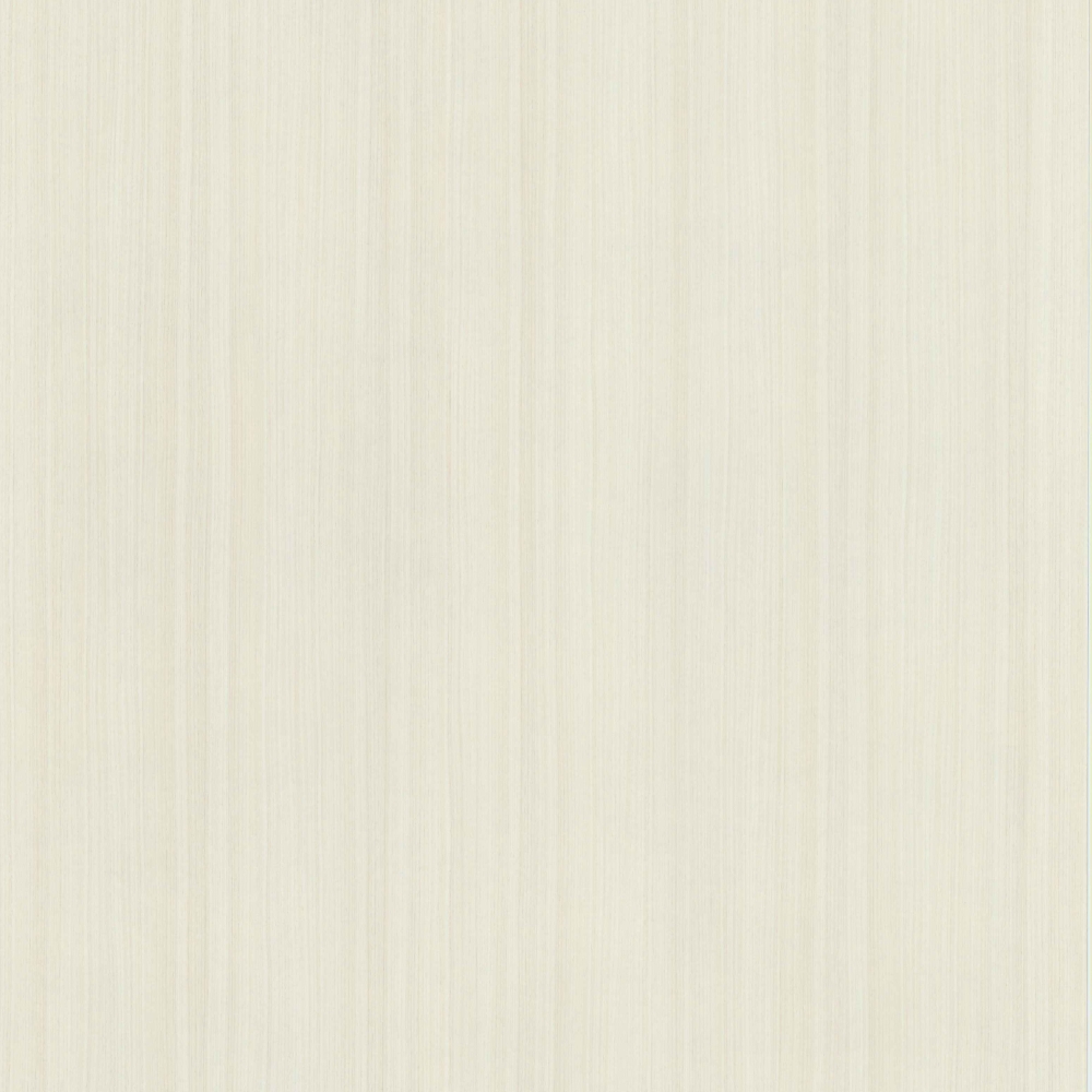 Birch Shine-G – SGT 5611 G